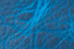Cobalt bison