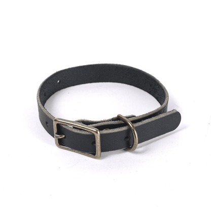 CHARLIE LEATHER DOG COLLAR