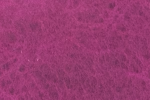 Grape bison