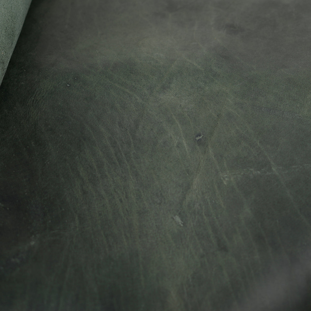 Hunter Green Bison Limited Edition Color Upgrade - Final Sale