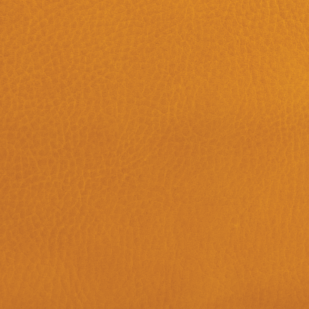 Mustard Yellow