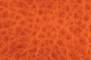 Tangerine bison