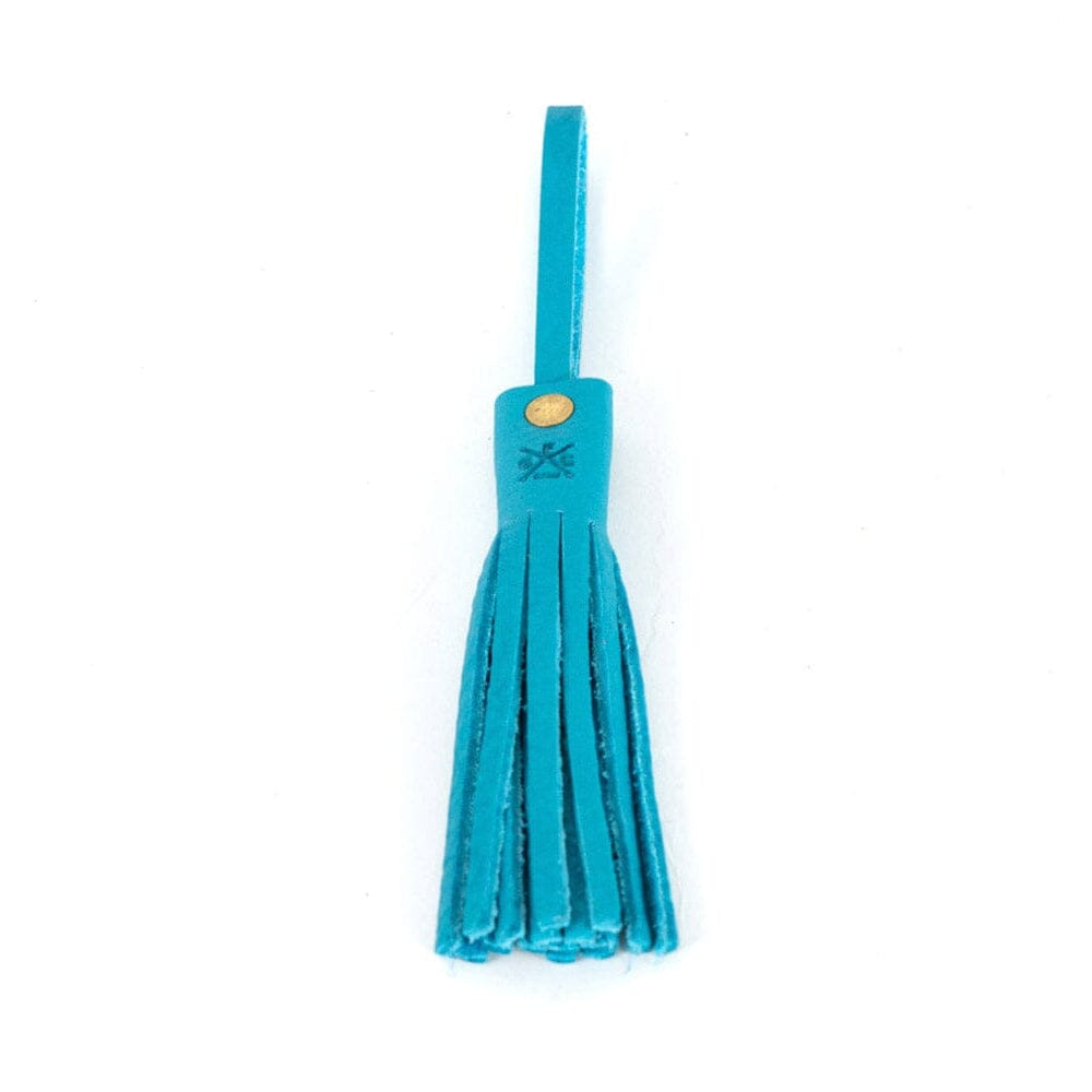 🎁 LEATHER TASSEL BAG CHARM (100% off)